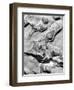 Rock Formation, 1952-Brett Weston-Framed Photographic Print