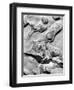Rock Formation, 1952-Brett Weston-Framed Photographic Print