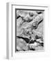 Rock Formation, 1952-Brett Weston-Framed Photographic Print