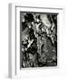 Rock Formation, 1971-Brett Weston-Framed Photographic Print