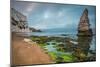 Rock Formation at Jurrassic Coast Beach in Dorset, Uk, Long Exposure-Marcin Jucha-Mounted Photographic Print