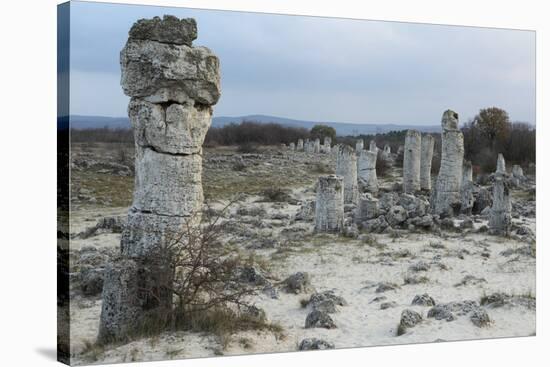 Rock Formation at the 50 Million Year Old Stone Forest (Pobiti Kamani)-Stuart Forster-Stretched Canvas