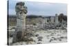 Rock Formation at the 50 Million Year Old Stone Forest (Pobiti Kamani)-Stuart Forster-Stretched Canvas