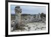 Rock Formation at the 50 Million Year Old Stone Forest (Pobiti Kamani)-Stuart Forster-Framed Photographic Print