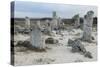 Rock Formation at the 50 Million Year Old Stone Forest (Pobiti Kamani)-Stuart Forster-Stretched Canvas