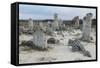 Rock Formation at the 50 Million Year Old Stone Forest (Pobiti Kamani)-Stuart Forster-Framed Stretched Canvas