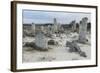 Rock Formation at the 50 Million Year Old Stone Forest (Pobiti Kamani)-Stuart Forster-Framed Photographic Print