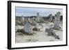 Rock Formation at the 50 Million Year Old Stone Forest (Pobiti Kamani)-Stuart Forster-Framed Photographic Print