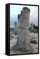 Rock Formation at the 50 Million Year Old Stone Forest (Pobiti Kamani)-Stuart Forster-Framed Stretched Canvas