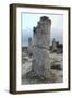 Rock Formation at the 50 Million Year Old Stone Forest (Pobiti Kamani)-Stuart Forster-Framed Photographic Print