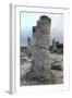 Rock Formation at the 50 Million Year Old Stone Forest (Pobiti Kamani)-Stuart Forster-Framed Photographic Print