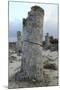 Rock Formation at the 50 Million Year Old Stone Forest (Pobiti Kamani)-Stuart Forster-Mounted Photographic Print