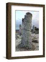 Rock Formation at the 50 Million Year Old Stone Forest (Pobiti Kamani)-Stuart Forster-Framed Photographic Print