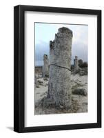 Rock Formation at the 50 Million Year Old Stone Forest (Pobiti Kamani)-Stuart Forster-Framed Photographic Print