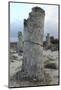 Rock Formation at the 50 Million Year Old Stone Forest (Pobiti Kamani)-Stuart Forster-Mounted Photographic Print