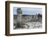 Rock Formation at the 50 Million Year Old Stone Forest (Pobiti Kamani)-Stuart Forster-Framed Photographic Print