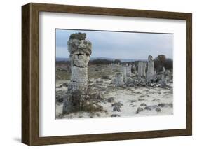 Rock Formation at the 50 Million Year Old Stone Forest (Pobiti Kamani)-Stuart Forster-Framed Photographic Print