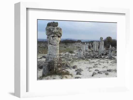 Rock Formation at the 50 Million Year Old Stone Forest (Pobiti Kamani)-Stuart Forster-Framed Photographic Print