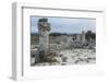 Rock Formation at the 50 Million Year Old Stone Forest (Pobiti Kamani)-Stuart Forster-Framed Photographic Print