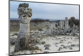 Rock Formation at the 50 Million Year Old Stone Forest (Pobiti Kamani)-Stuart Forster-Mounted Photographic Print