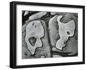 Rock Formation, c.1950-Brett Weston-Framed Photographic Print