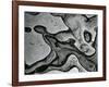 Rock Formation, c.1955-Brett Weston-Framed Photographic Print