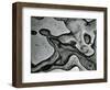 Rock Formation, c.1955-Brett Weston-Framed Photographic Print