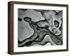 Rock Formation, c.1955-Brett Weston-Framed Premium Photographic Print