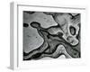 Rock Formation, c.1955-Brett Weston-Framed Premium Photographic Print