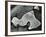 Rock Formation , c. 1960-Brett Weston-Framed Photographic Print