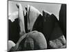 Rock Formation, c. 1965-Brett Weston-Mounted Photographic Print