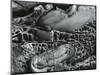 Rock Formation, c. 1970-Brett Weston-Mounted Photographic Print