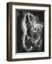 Rock Formation, c. 1970-Brett Weston-Framed Premium Photographic Print