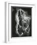 Rock Formation, c. 1970-Brett Weston-Framed Premium Photographic Print