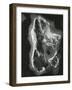 Rock Formation, c. 1970-Brett Weston-Framed Photographic Print