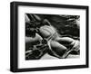 Rock Formation, California, 1966-Brett Weston-Framed Photographic Print