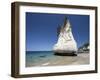 Rock Formation, Cathedral Cove, Coromandel Peninsula, North Island, New Zealand-David Wall-Framed Photographic Print