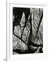 Rock Formation, Europe, 1971-Brett Weston-Framed Photographic Print