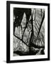 Rock Formation, Europe, 1971-Brett Weston-Framed Photographic Print