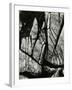 Rock Formation, Europe, 1971-Brett Weston-Framed Photographic Print