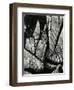 Rock Formation, Europe, 1971-Brett Weston-Framed Photographic Print