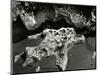 Rock Formation, Europe, 1971-Brett Weston-Mounted Photographic Print