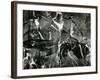 Rock Formation, Europe, c. 1970-Brett Weston-Framed Photographic Print