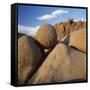 Rock Formation in Joshua Tree National Park-Micha Pawlitzki-Framed Stretched Canvas