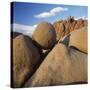 Rock Formation in Joshua Tree National Park-Micha Pawlitzki-Stretched Canvas
