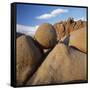 Rock Formation in Joshua Tree National Park-Micha Pawlitzki-Framed Stretched Canvas