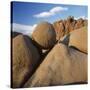 Rock Formation in Joshua Tree National Park-Micha Pawlitzki-Stretched Canvas