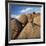 Rock Formation in Joshua Tree National Park-Micha Pawlitzki-Framed Photographic Print