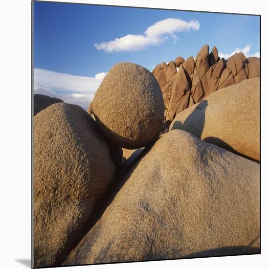 Rock Formation in Joshua Tree National Park-Micha Pawlitzki-Mounted Photographic Print