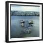 Rock Formation in Ocean-Micha Pawlitzki-Framed Premium Photographic Print